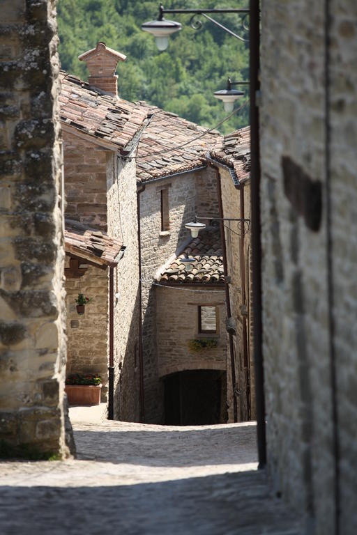 Agriturismo Biologico Castello Della Pieve Mercatello sul Metauro Exterior foto