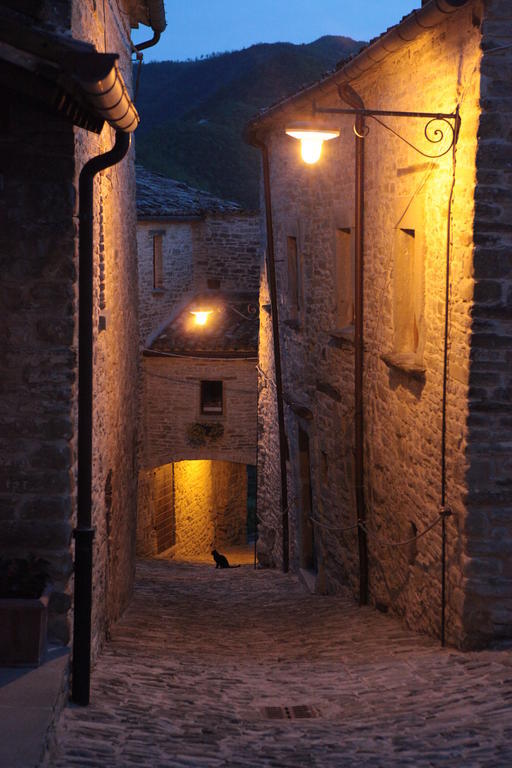 Hotel Agriturismo Biologico Castello Della Pieve Mercatello sul Metauro Exterior foto