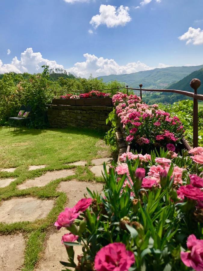 Agriturismo Biologico Castello Della Pieve Mercatello sul Metauro Exterior foto